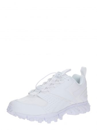 Reebok Classic Sneaker low 'DMXPERT'  alb