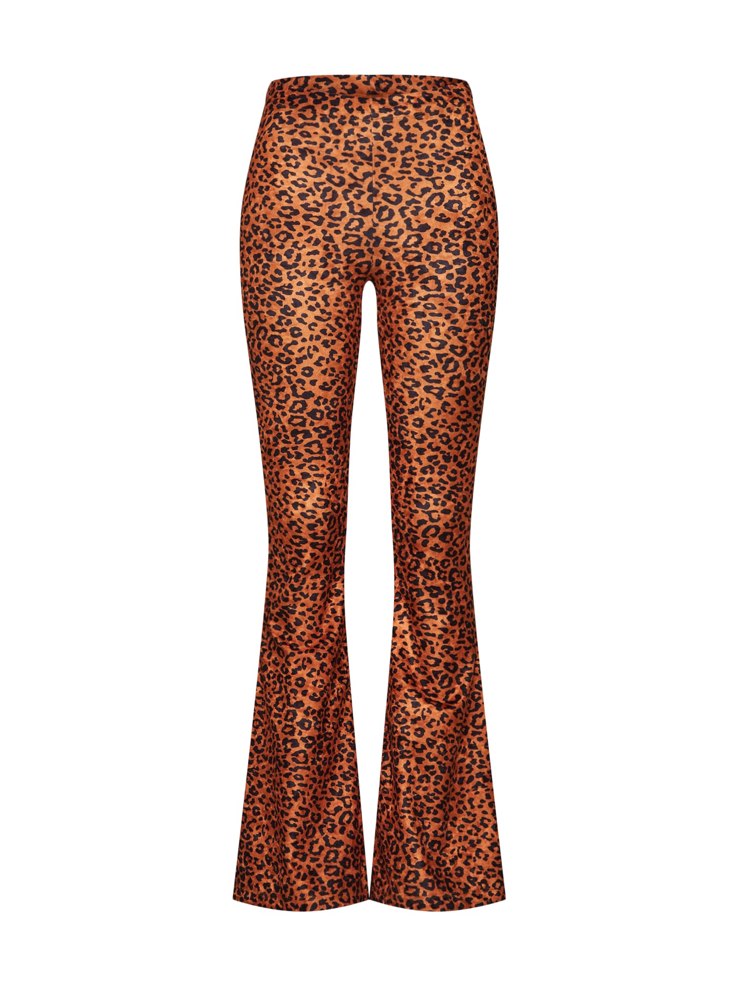 CATWALK JUNKIE Pantaloni 'TR GOLDEN LEO'  maro