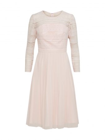Chi Chi London Rochie de cocktail  pudră
