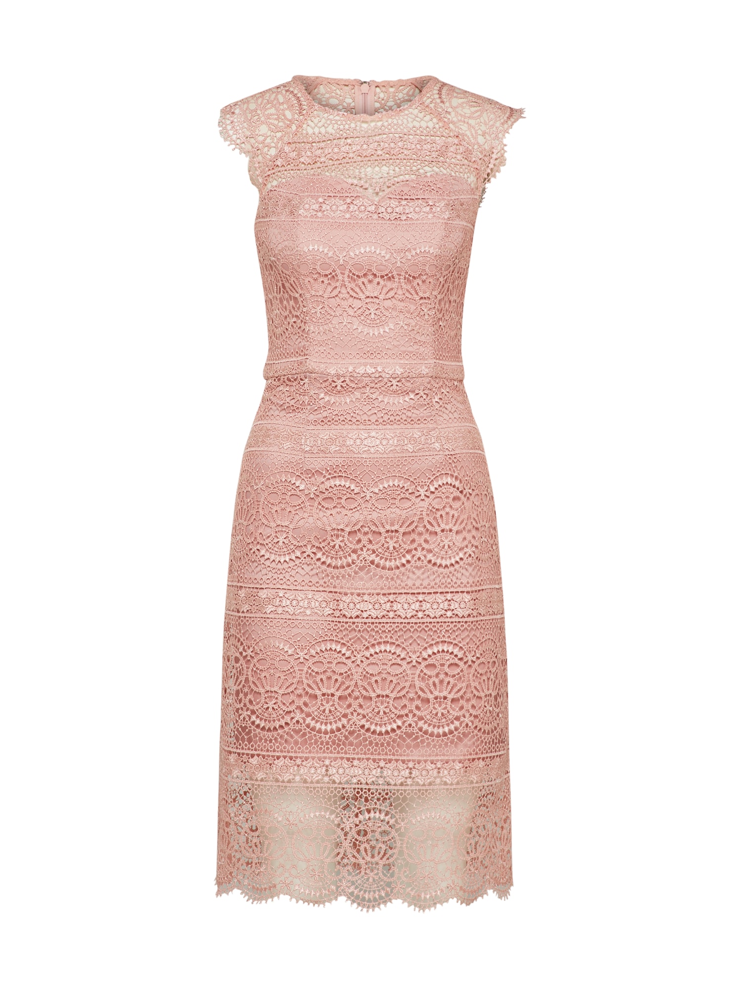 Chi Chi London Rochie de cocktail roz