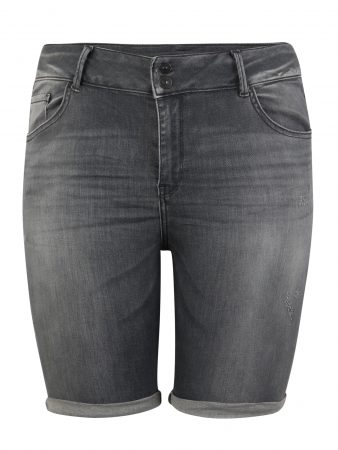 LTB - Love To Be Jeans 'ROMY'  denim gri