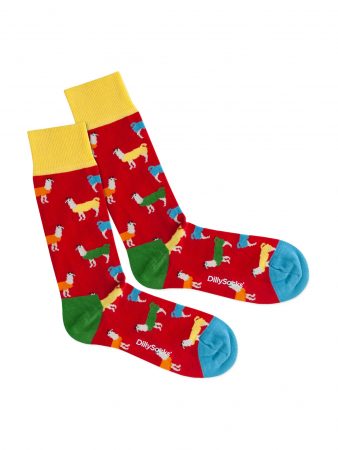 DillySocks Șosete 'Lava Lama'  galben / verde / roșu