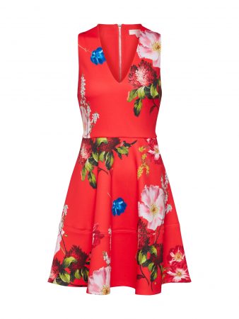 Ted Baker Rochie 'Kinle'  culori mixte / roșu